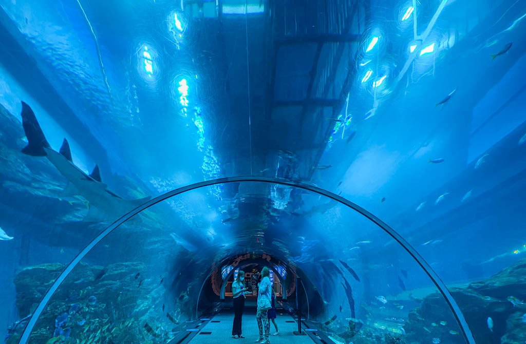 Dubai Aquarium