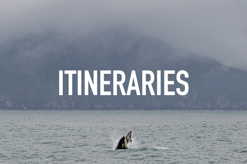 Alaska itineraries