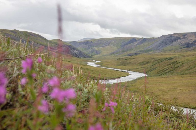 Atigun Gorge, Arctic National Wildlife Refuge , Alaska, ANWR, Alaskan Arctic, Arctic, Northern Alaska, Atigun, Atigun River