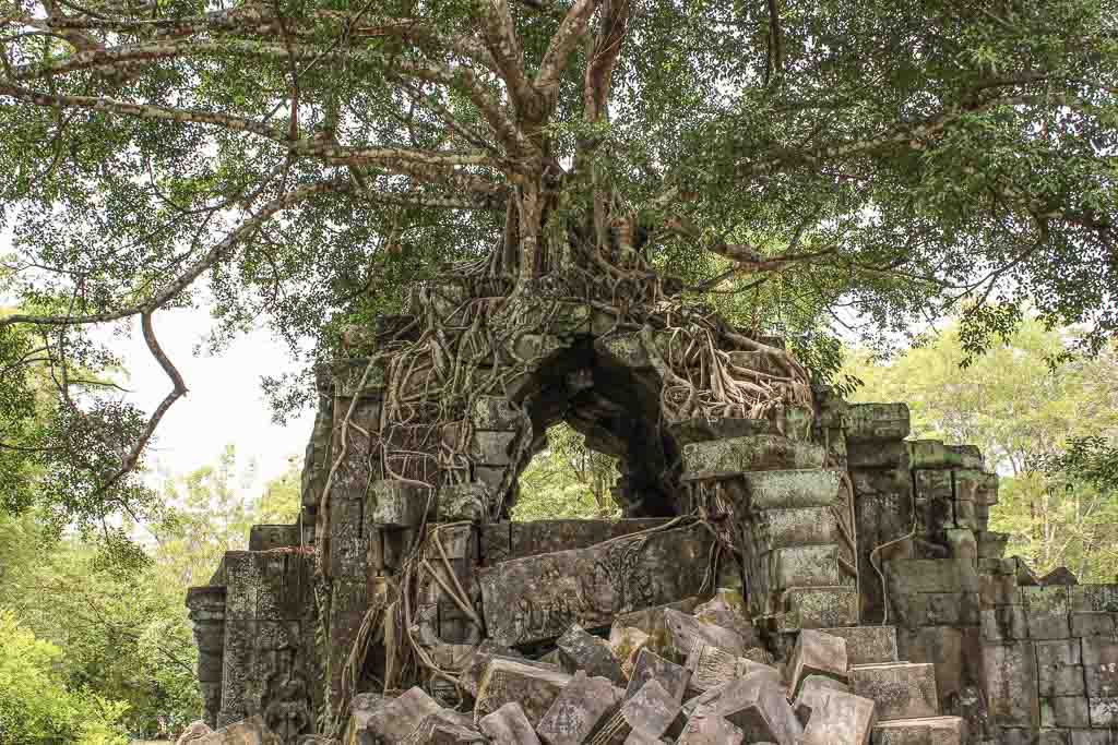 Beng Mealea, Cambodia, Angkor, Angkor Complex