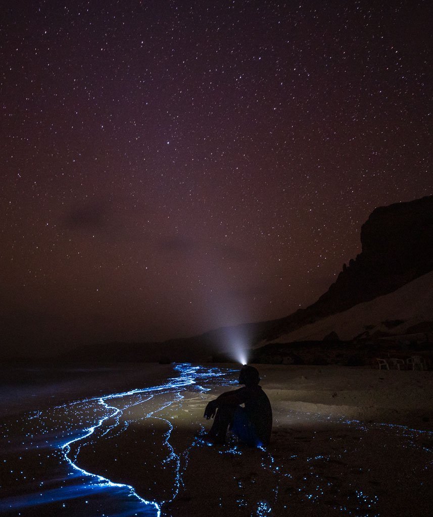 Arher Beach Socotra, Socotra Island, Yemen, Arher, Arher Beach, Socotra bioluminescence, bioluminescence