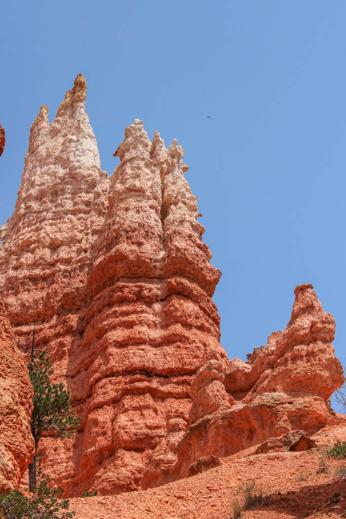 Queens Garden, Queens Garden, Queens Garden Bryce, Bryce Canyon, Bryce Canyon National Park, Utah, hoodoo, hoodoos