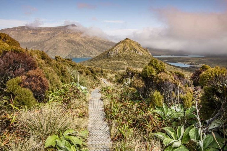 Beeman Hill, Perseverance Harbor, Northwest Bay, Campbell Island, New Zealand, Subantarctic, Subantarctic Islands