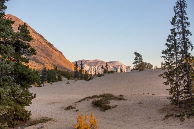 Carcross Desert, Carcross, Yukon Territory, Canada, smallest desert in world, Carcross Dunes