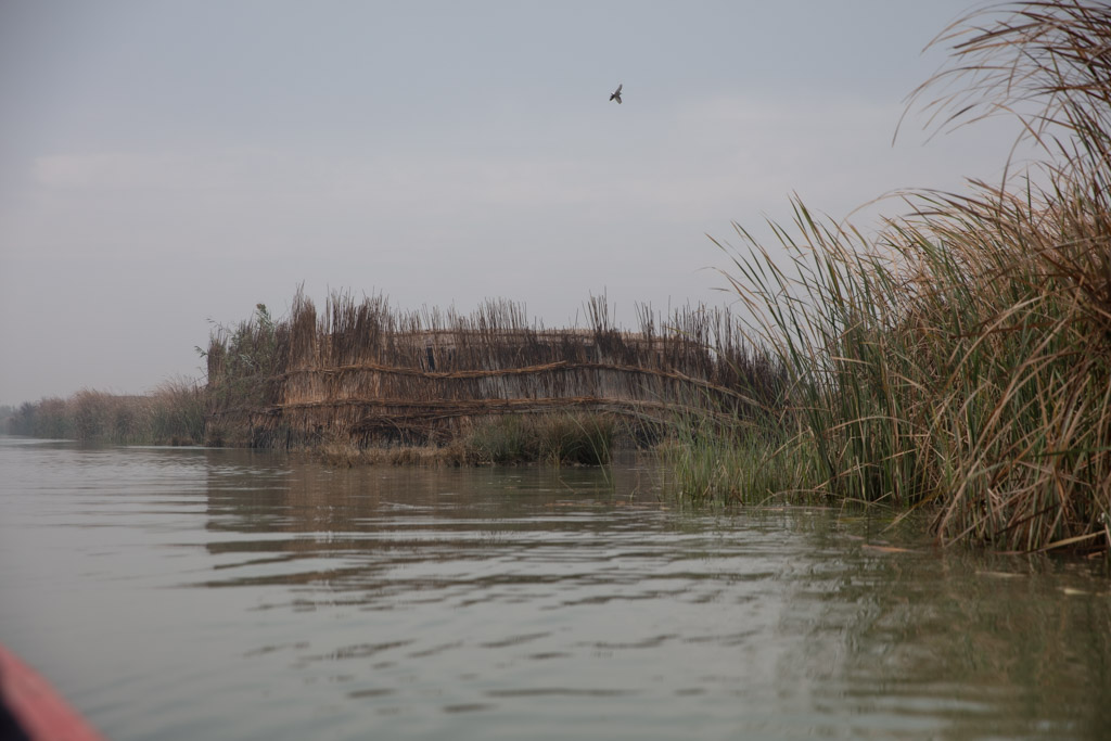 Chibayesh, Nasiriyah, Mesopotamian marshes, Mesopotamia, iraq