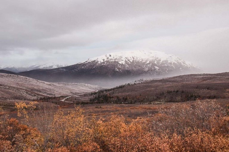 Denali, Denali National Park, Alaska