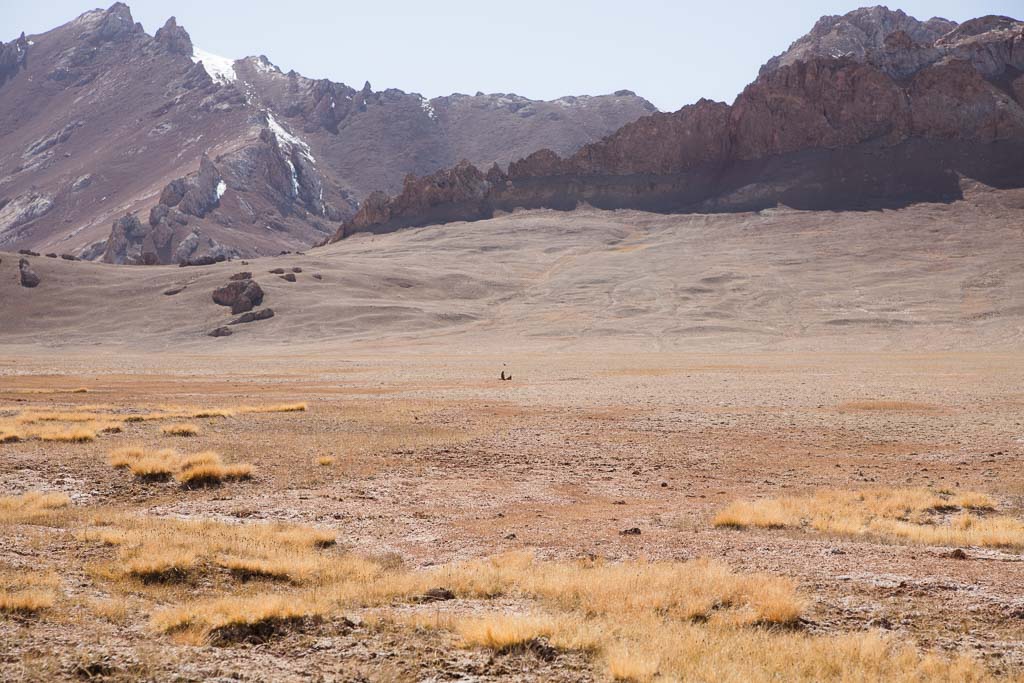 Jarty Gumbez, Eastern Pamir, Pamir, Pamirs, Pamir Mountians, Tajikistan, GBAO