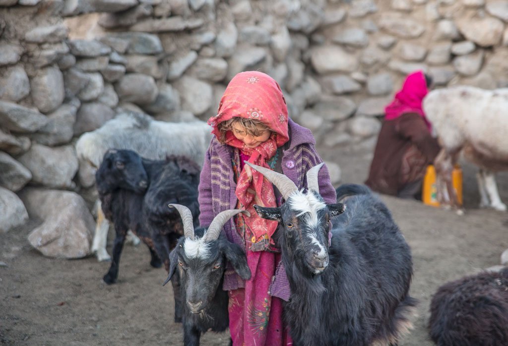 Wakhan photos, photos Wakhan, Maydon, Maydon Afghanistan, Afghan girl with goats, Wakhi girl goats, Afghanistan, Great Pamir, Great Pamir Afghanistan, Wakhan, Wakhan Valley, Wakhan Afghanistan, Wakhan Corridor