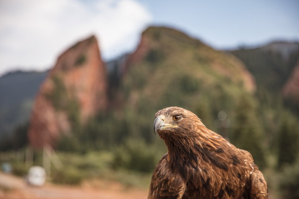 Broken Heart, Broken HEart Jeti Oguz, Broken Heart Kyrgyzstan, golden eagle, golden eagle Kyrgyzstan