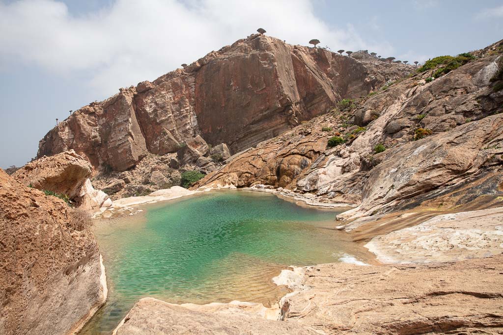 Socotra, Socotra Island, Yemen, Homhil, Homhil Protected Area