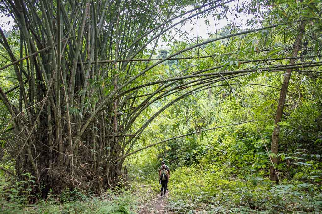 Hsipaw, Hsipaw Trekking, Myanmar Trekking, Myanmar, Shan State