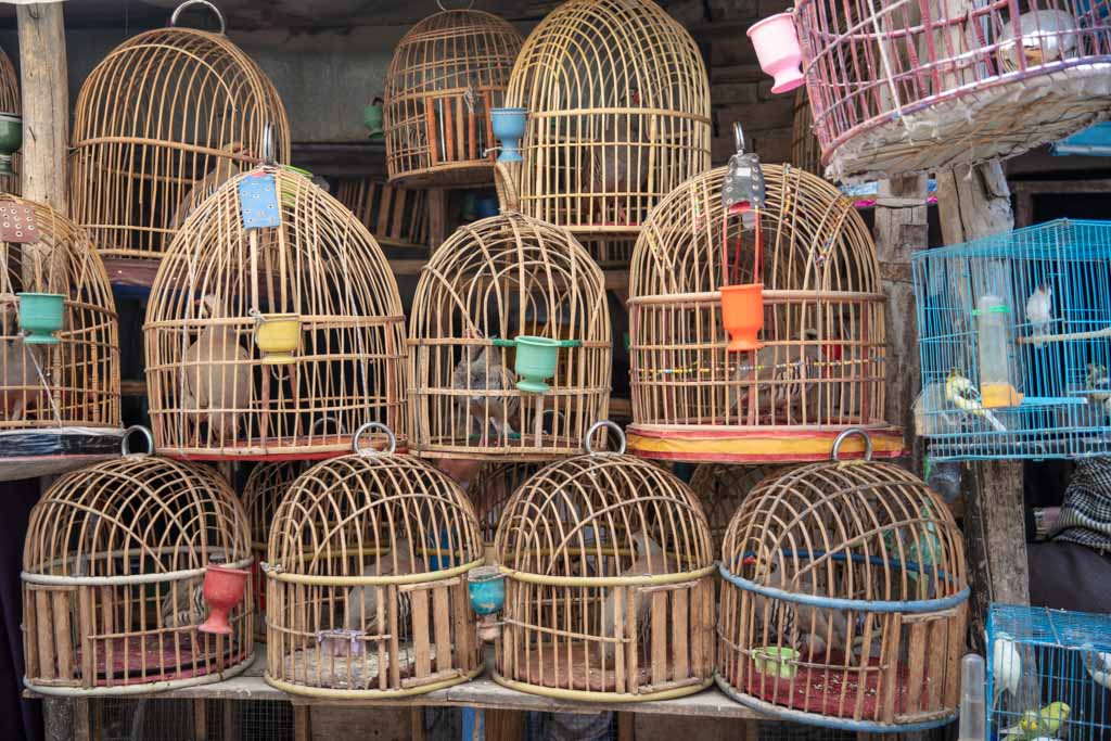 Ka Feroshi Bird Market, Kabul, Afghanistan