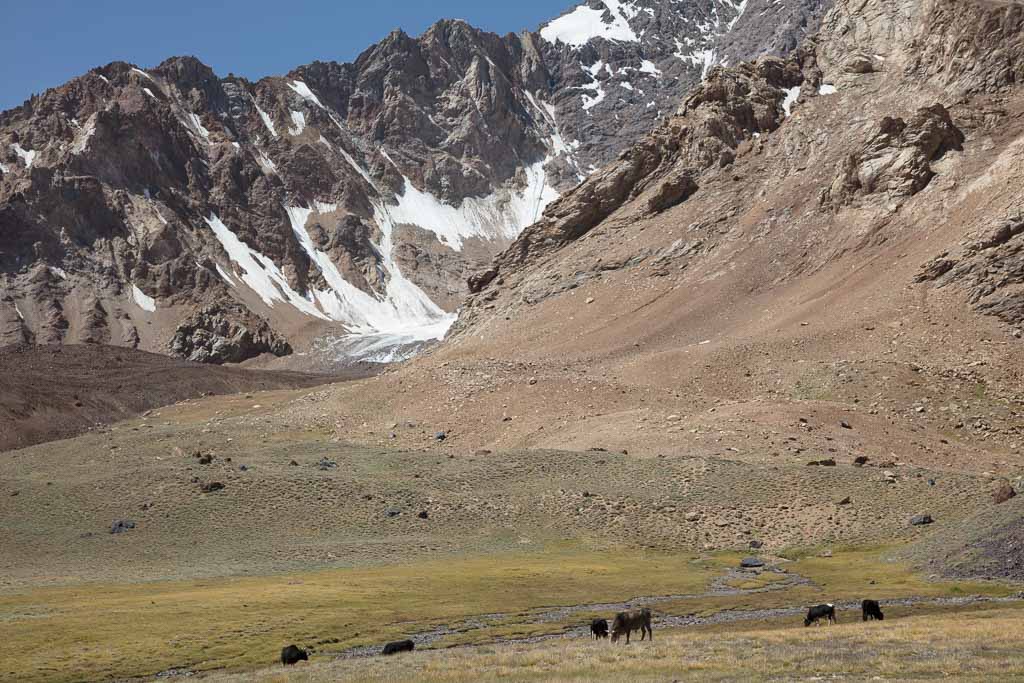 jailoo, Bartang Highway, Bartang Valley, Bartang, Pamir, Pamir Mountains, Pamirs, Tajikistan, GBAO, Gorno Badakshan Autonomous Oblast, Badakshan, Badakhshon, Khafrazdara, Khafrazdara Valley, high pasture