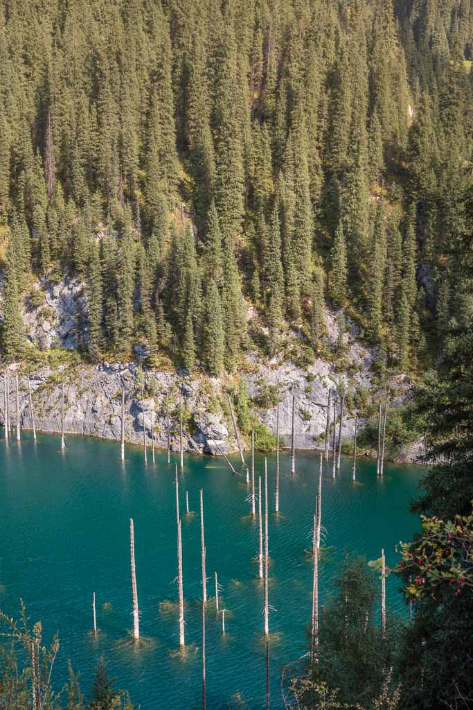 Kaindy Lake, Kazakhstan, Sunken Forest, Sunken Forest Kaindy Lake, Sunken Forest Kazakhstan, Lake Kaindy, Kaindy