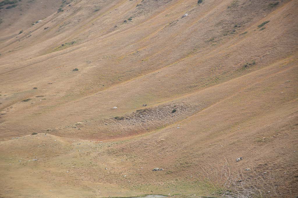 Tupchak, Tupchak Plateau, Gardan i Kaftar, Rasht Valley, Karotegin, Karotegin Valley, Badakshan, GBAO, Tajikistan, Central Asia