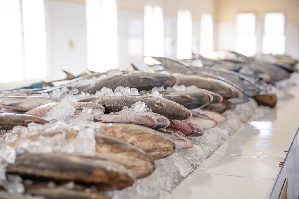 Mirbat Fish Market, Fish Market, Mirbat, Dhofar, Oman