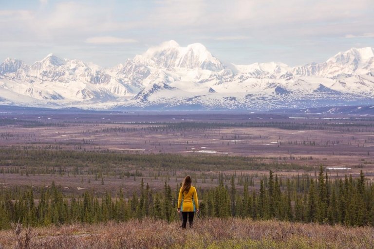 Mount Hayes, Alaska Range, Eastern Alaska Range, Denali Highway, Alaska