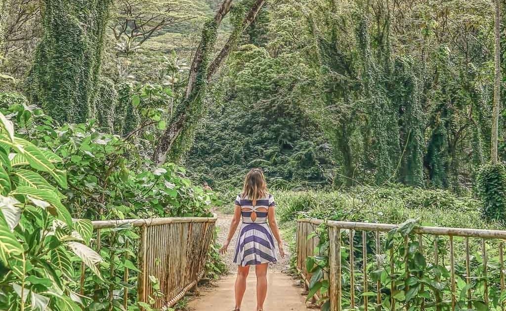 Manoa Falls, Oahu, Hawaii