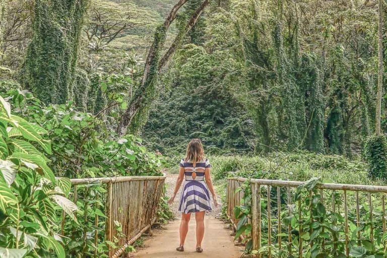 Manoa Falls, Oahu, Hawaii