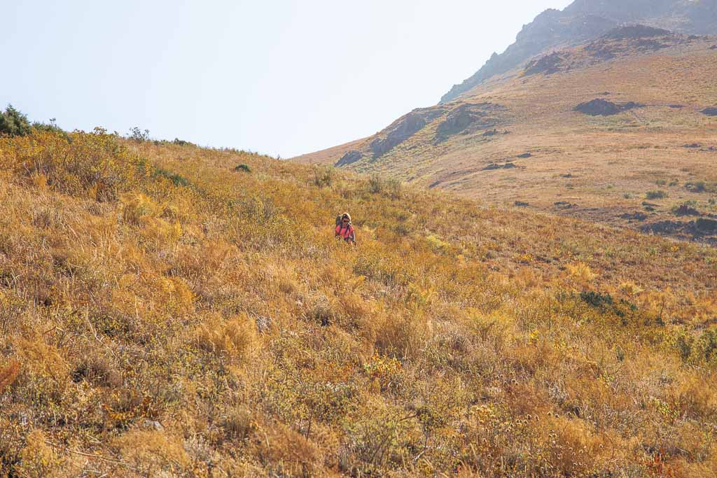 Gding, Gding Plateau, Pulisangin, Pulisangin Valley, Gardan i Kaftar, Rasht Valley, Karotegin, Karotegin Valley, Badakshan, GBAO, Tajikistan, Central Asia