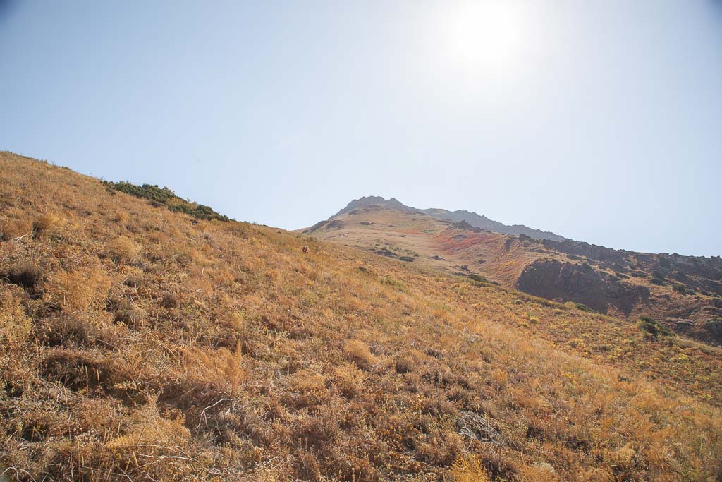 Gding, Gding Plateau, Gardan i Kaftar, Rasht Valley, Karotegin, Karotegin Valley, Badakshan, GBAO, Tajikistan, Central Asia