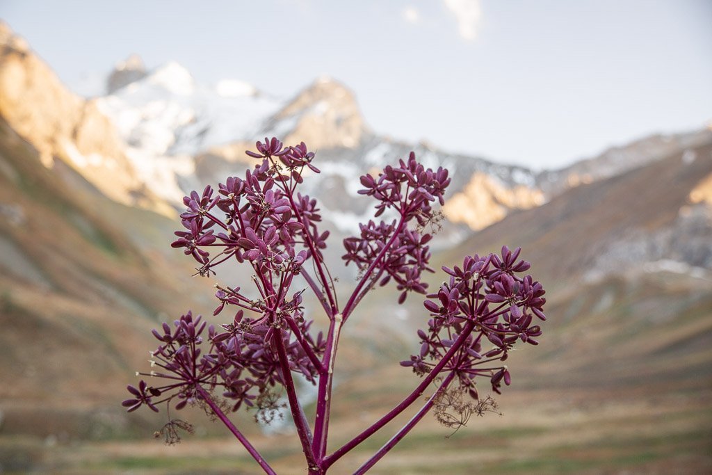 Pulisangin, Pulisangin Valley, Gardan i Kaftar, Rasht Valley, Karotegin, Karotegin Valley, Badakshan, GBAO, Tajikistan, Central Asia