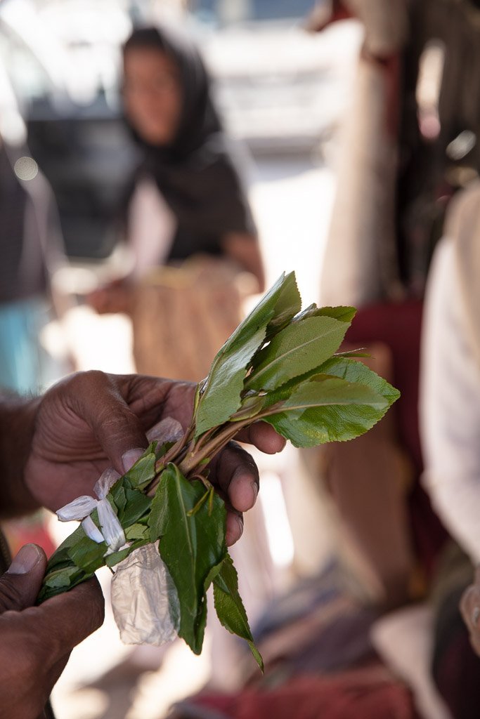 qat, khat, qat leaf, khat leaf