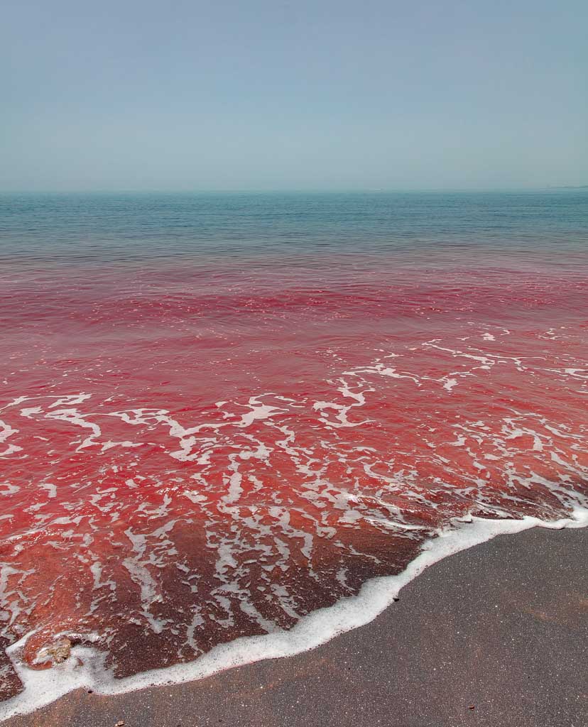 Hormuz Island, Hormuz, Iran, Red Beach, Red Beach Iran, Read Beach Hormuz