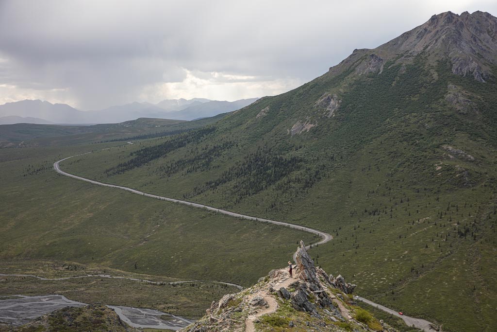 Savage Alpine, Savage Alpine Trail, Savage River, Denali, Denali National Park, Alaska