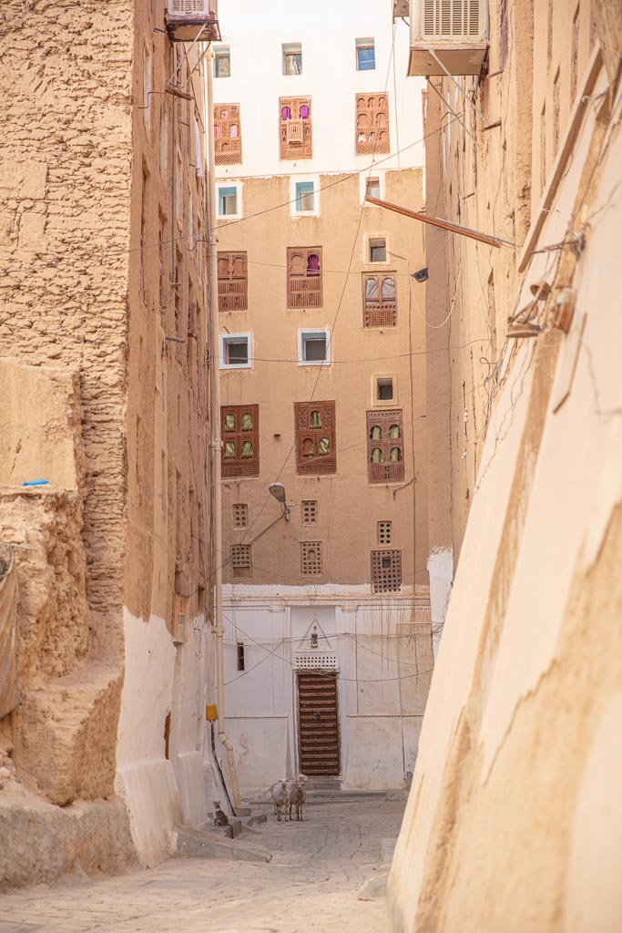 Shibam, Wadi Hadhramaut, Hadhramaut, Yemen