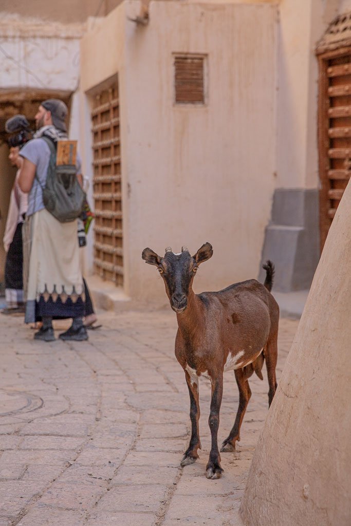 Shibam, Wadi Hadhramaut, Hadhramaut, Yemen