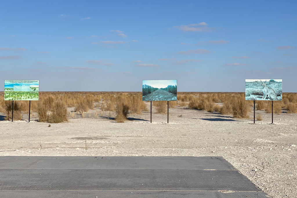 South Ustyurt National Park, Aralkum Desert, Karakalpakstan, Uzbekistan