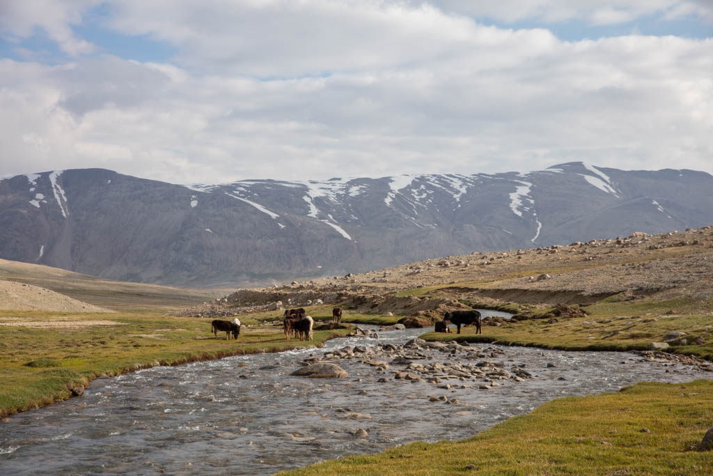 Southern Alichur Range, Tajikistan