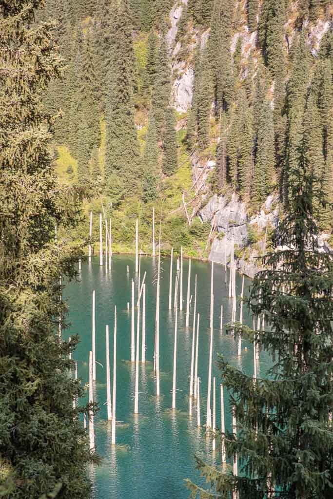 Kaindy Lake, Kazakhstan, Sunken Forest, Sunken Forest Kaindy Lake, Sunken Forest Kazakhstan, Lake Kaindy, Kaindy