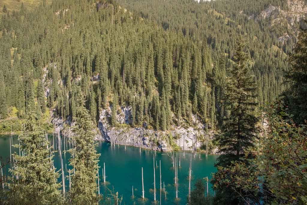 Kaindy Lake, Kazakhstan, Sunken Forest, Sunken Forest Kaindy Lake, Sunken Forest Kazakhstan, Lake Kaindy, Kaindy