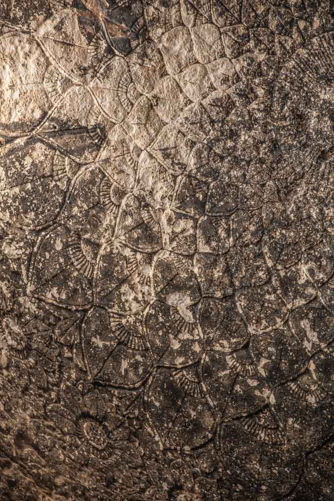 Takht e Rustam, Samangan, Afghanistan, Northern Afghanistan, Takht e Rustam Buddhist Cave, Takht e Rustam Buddhist Cave Ceiling