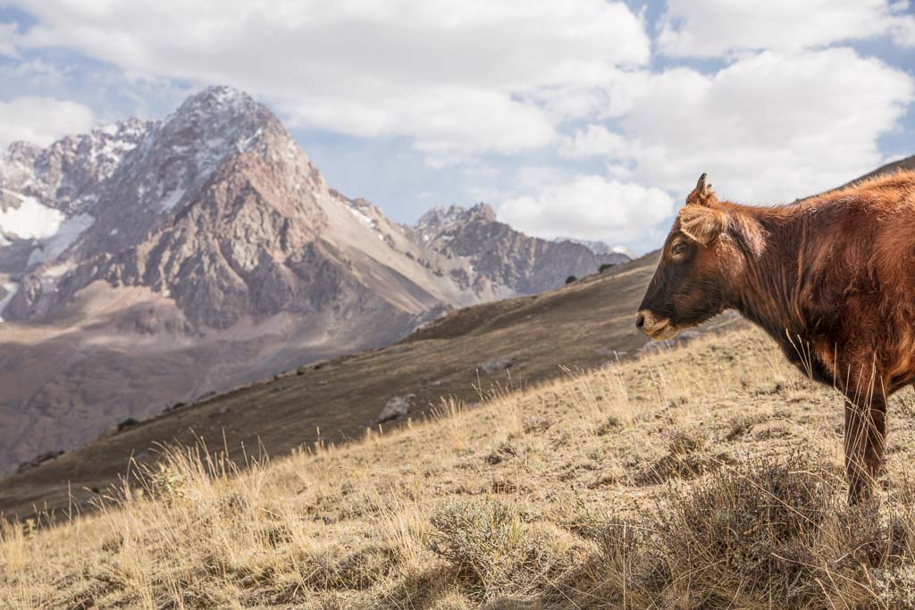 Tavasang, Tavasang Pass, Tajikistan