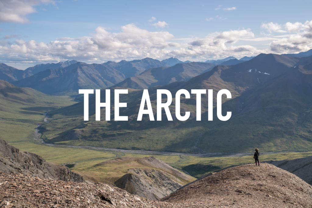 The Arctic