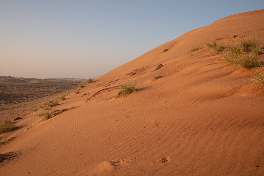 Sunset, Sunset in Wahiba Sands, Wahiba, Wahiba Sands, Sharqiya, Sharqiya Sands, Omani Desert, Sand Dunes, Sand Dune, Oman, Middle East, Arabia, Arabian Peninsula