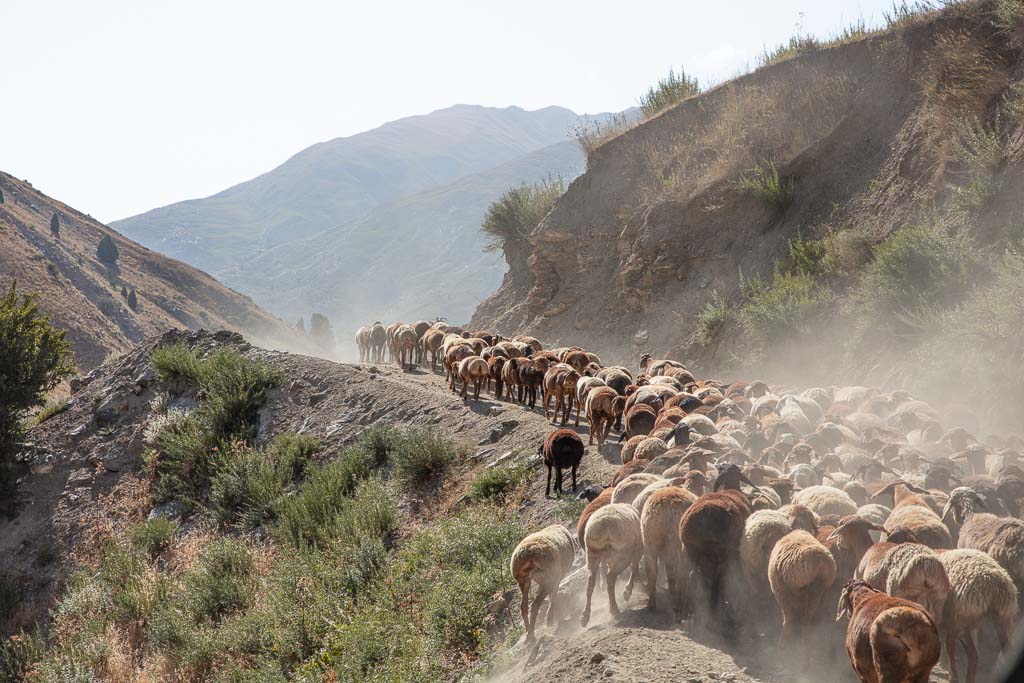 Yagnob, Yaghnob, Yagnob Valley, Tajikistan, Sughd, Central Asia