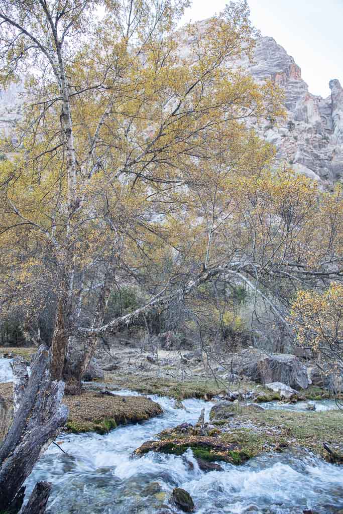 Zindon River, Zindon Valley, Fann Mountains, Sughd, Tajikistan