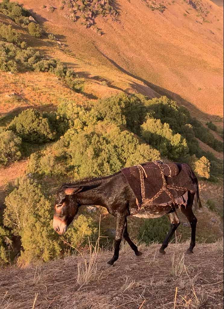 Gardan i Kaftar, Tajikistan